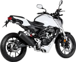 Shark exhaust DSX-10 Auspuff 1in1 841307 schwarz für Honda
