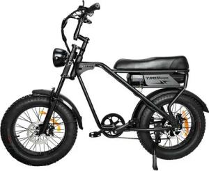DOTMALL E-Bike E-Bike 20 Zoll Tourwheel 500W 48V 18.2Ah Mountain/City E bike