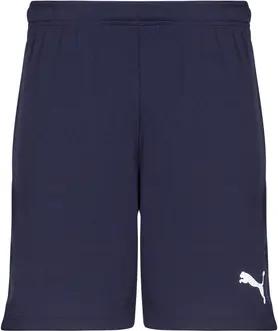 Puma Shorts TEAMRISE MATCHDAY