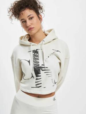 Calvin Klein Jeans Blown Up Hoodie