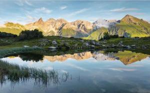 Komar Fototapete Allgäu Spiegel B/L: ca. 450x280 cm