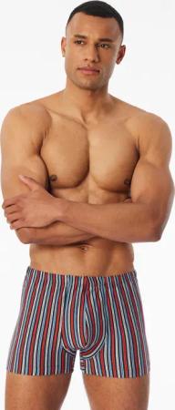 Shorts 3er-Pack Organic Cotton uni/geringelt mehrfarbig - 95/5 10