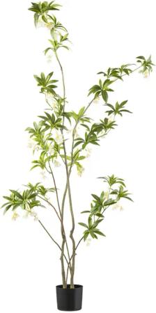 Creativ green Kunstbaum "Elaeocarpus", mit traumhaft schönen Blüten