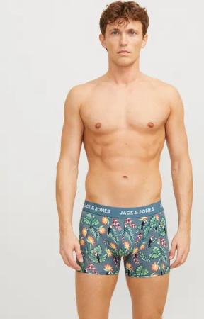 Jack & Jones Trunk "JACFLOWER BIRD TRUNKS 3 PACK SN", (3 St.), mit Logo Schriftzug