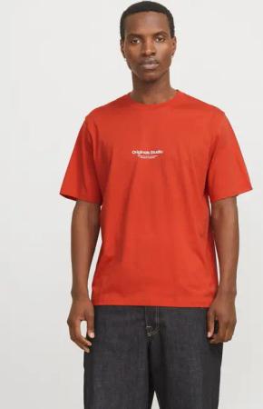 Jack & Jones Rundhalsshirt "JORVESTERBRO TEE SS CREW NECK NOOS"