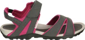 Trekkingsandalen Naturwandern NH100 Damen grau/blau