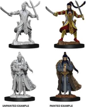 WizKids Spielfigur D&D Nolzur's Marvelous Miniatures Male Elf Paladin
