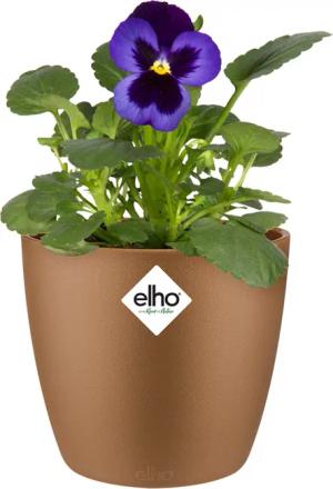 Blumentopf Brussels Samtgold 11x10cm 0,8L