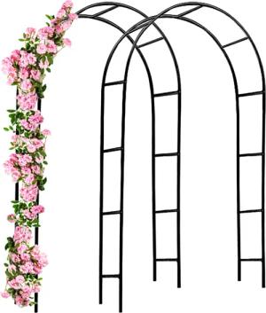 Rosenbogen 2er-Set Schwarz 240x37x140cm