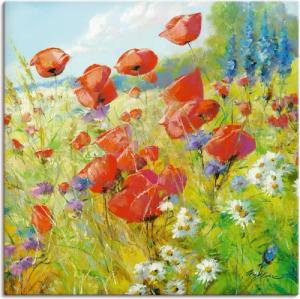 Artland Wandbild "Sommerwiese mit Mohnblumen", Blumenwiese, (1 St.), als Alubild, Outdoorbild, Leinwandbild, Poster in verschied. Größen
