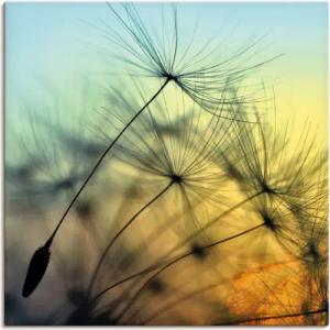 Artland Wandbild "Goldener Sonnenuntergang und Pusteblumen", Blumen, (1 St.), als Alubild, Outdoorbild, Leinwandbild, Poster, Wandaufkleber