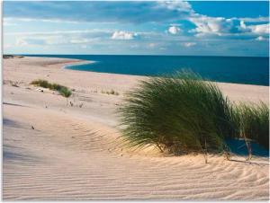 Artland Wandbild "Gras am Strand", Strand, (1 St.), als Alubild, Outdoorbild, Leinwandbild in verschied. Größen