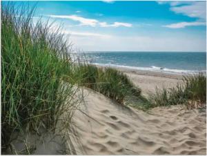 Artland Wandbild "Dünenlandschaft im Sommer an der Nordsee", Strand, (1 St.), als Alubild, Outdoorbild, Leinwandbild, Poster, Wandaufkleber