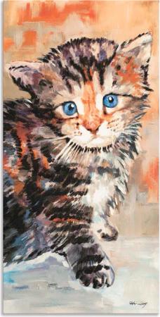 Artland Wandbild "Katze", Haustiere, (1 St.), als Alubild, Outdoorbild, Wandaufkleber in verschied. Größen