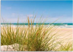 Artland Wandbild "Dünengras", Strand, (1 St.), als Alubild, Outdoorbild, Leinwandbild, Poster in verschied. Größen