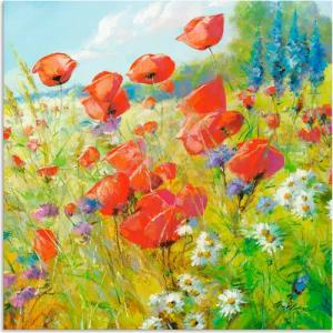 Artland Wandbild "Sommerwiese mit Mohnblumen", Blumenwiese, (1 St.), als Alubild, Outdoorbild, Leinwandbild, Poster in verschied. Größen