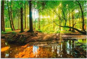 Artland Wandbild "Wald mit Bach", Wald, (1 St.), als Alubild, Outdoorbild, Leinwandbild, Poster, Wandaufkleber