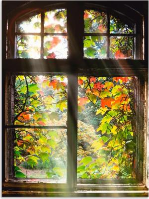 Artland Wandbild "Altbau", Fenster & Türen, (1 St.), als Alubild, Outdoorbild, Leinwandbild, Poster, Wandaufkleber