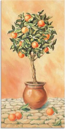 Artland Wandbild "Orangenbaum I", Pflanzen, (1 St.), als Alubild, Outdoorbild, Leinwandbild, Wandaufkleber, versch. Größen