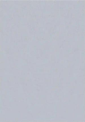 Ayyildiz Teppich SKY silber B/L: ca. 200x290 cm