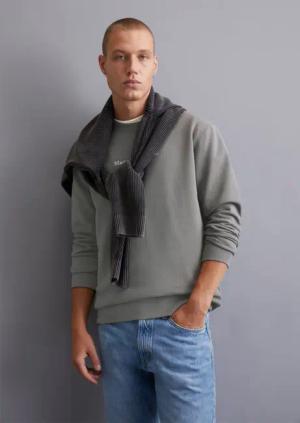 DfC Sweatshirt regular