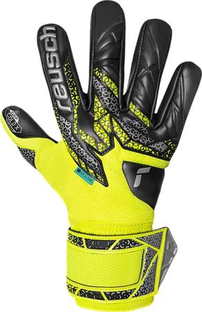 Torwarthandschuhe Reusch Attrakt Gold X NC
