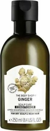 The Body Shop Haarspülung Body shop ginger conditioner 250ml ba