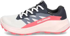Salomon ALPHAGLIDE GTX W