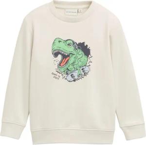 TOM TAILOR Jungen Sweatshirt mit Print, weiß, Uni, Gr. 92/98