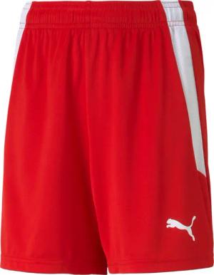 Kindershorts Puma Team Liga