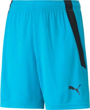 Shorts für Kinder Puma Team Liga