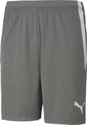 Short Puma Team Liga