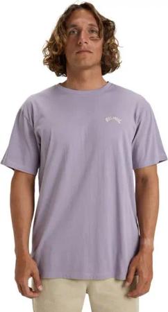 Billabong T-Shirt Arch Crew