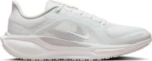Laufschuhe Nike Pegasus 41 Gore-Tex