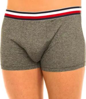 Tommy Hilfiger Boxer UM0UM00899-091
