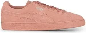 Puma  Damenschuhe -