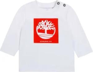 Timberland Windjacken -