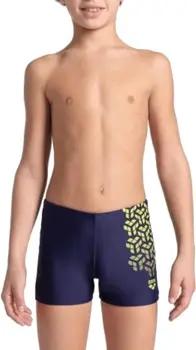 Arena  Badeshorts 006720