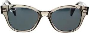 Ray-ban Sonnenbrillen Sonnenbrille RB0880S 66353R Polarisiert