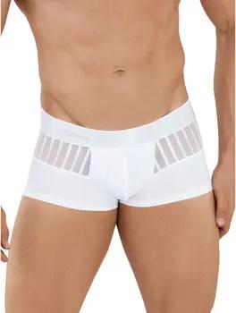 Clever Boxer Latin Boxer Lucerna