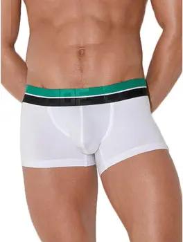 Code 22  Boxer Boxer Palm Tree Code22