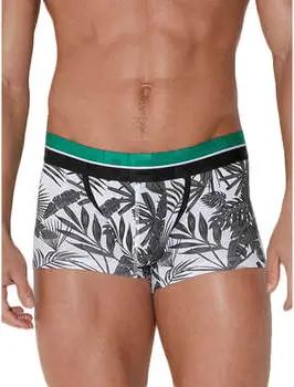 Code 22  Boxer Boxer Palm Tree Code22