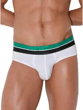 Code 22 Slips Slip Palm Baum Code22