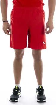 Puma  Shorts -