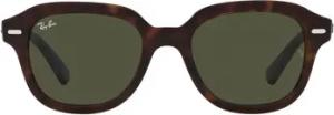 Ray-ban Sonnenbrillen Sonnenbrille Erik RB4398 902/31