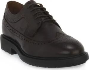 NeroGiardini Schuhe NERO GIARDINI 301 KENIA CAFFE
