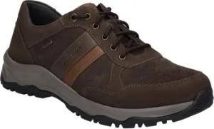 Josef Seibel Halbschuhe Leroy 56, braun-kombi