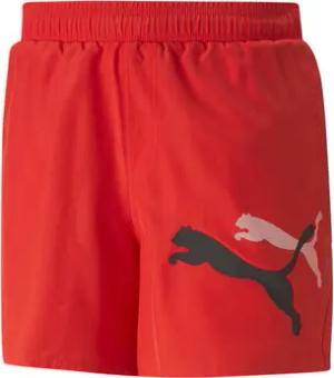 Puma  Shorts 673382-11