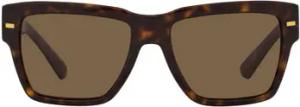 D&G Sonnenbrillen Dolce Gabbana Sonnenbrille DG4431 502/73