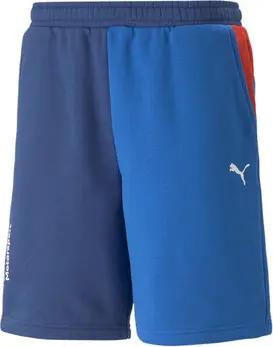 Puma  Shorts 538146-04
